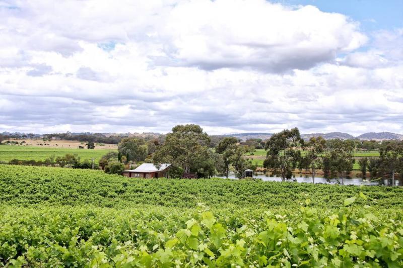 Stonewell Cottages & Vineyards Retreat Barossa Valley Extérieur photo